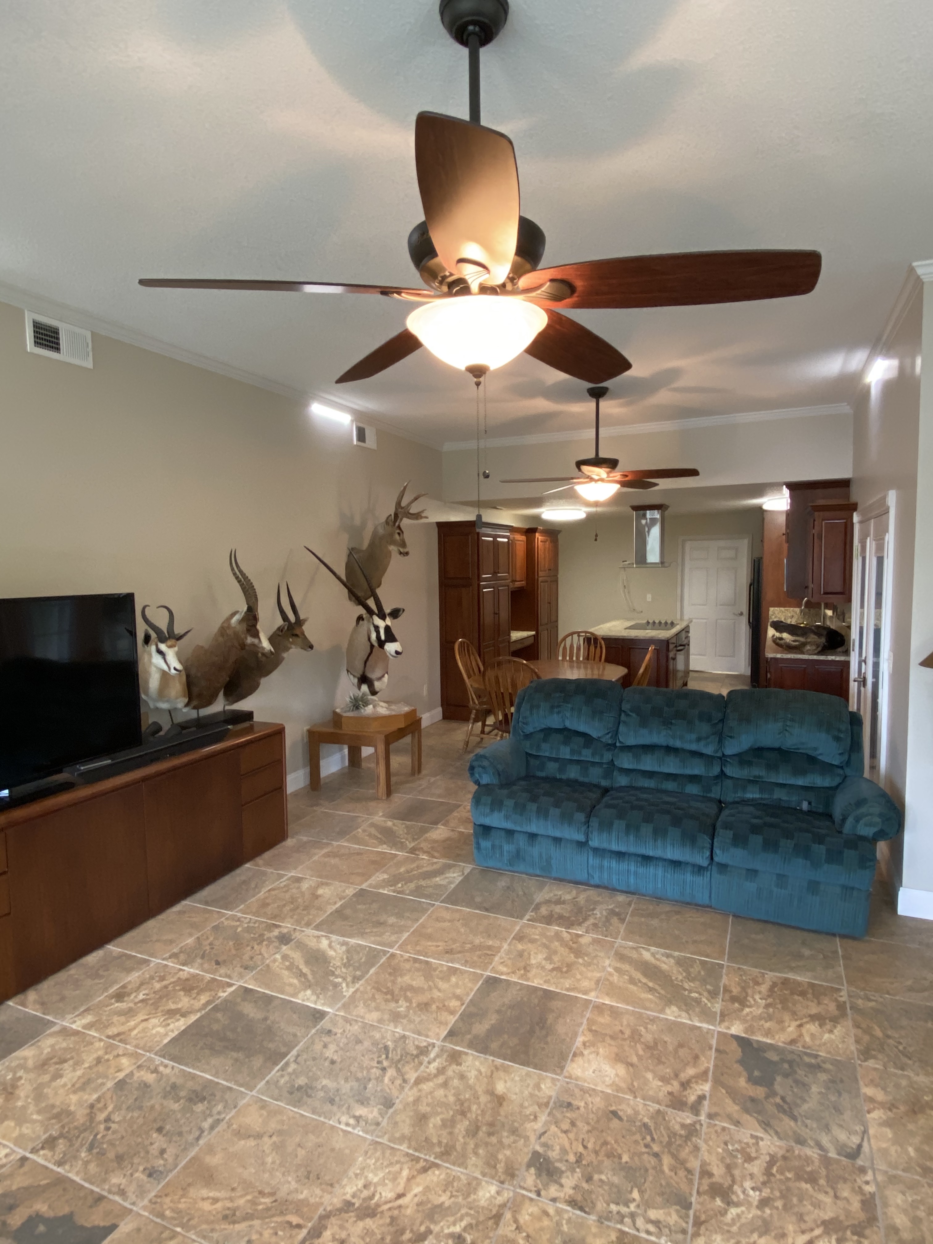 Lodge living room