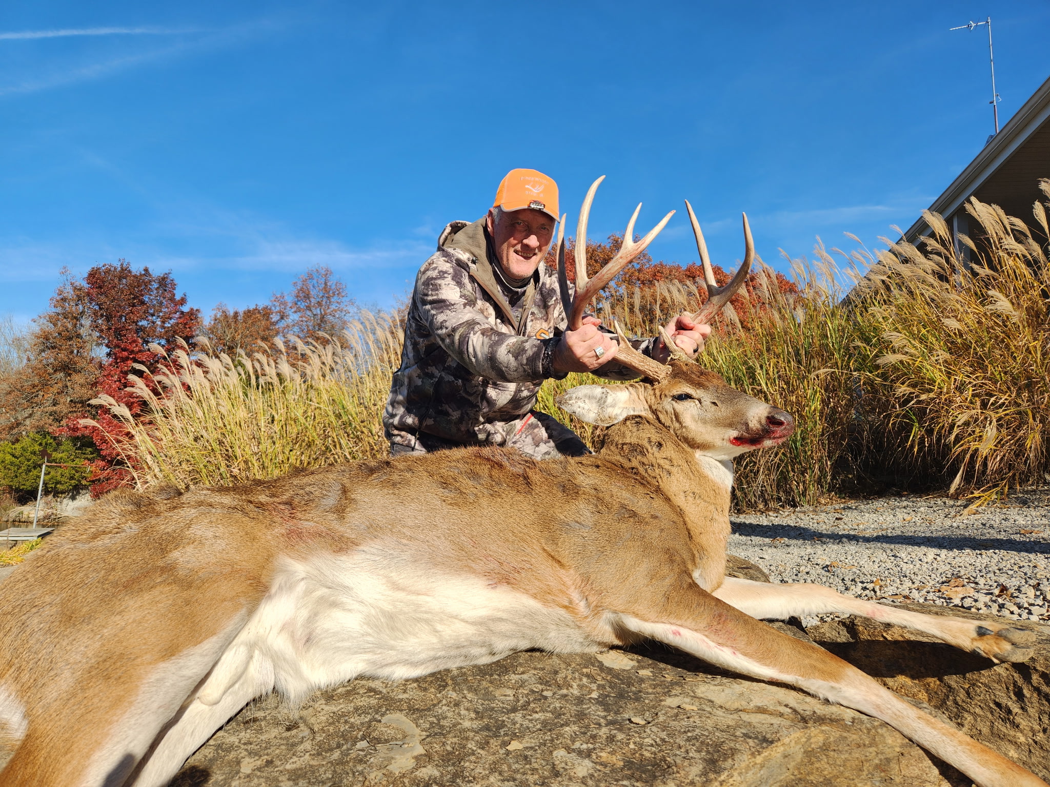 Hunt photo 18
